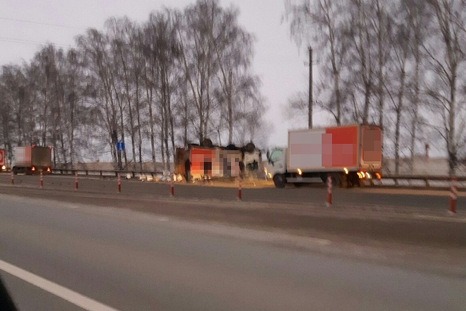 фото: соцсети