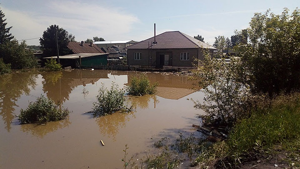 Фото: предоставлены пресс-службой ДСИО