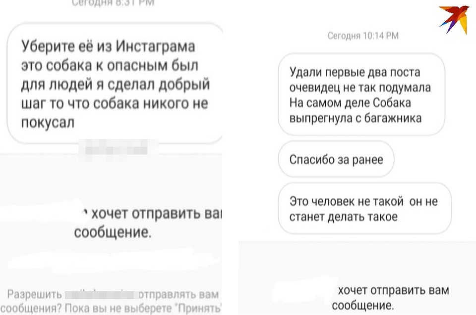 Герой истории узнал о своей "славе" живодера Фото: СОЦСЕТИ