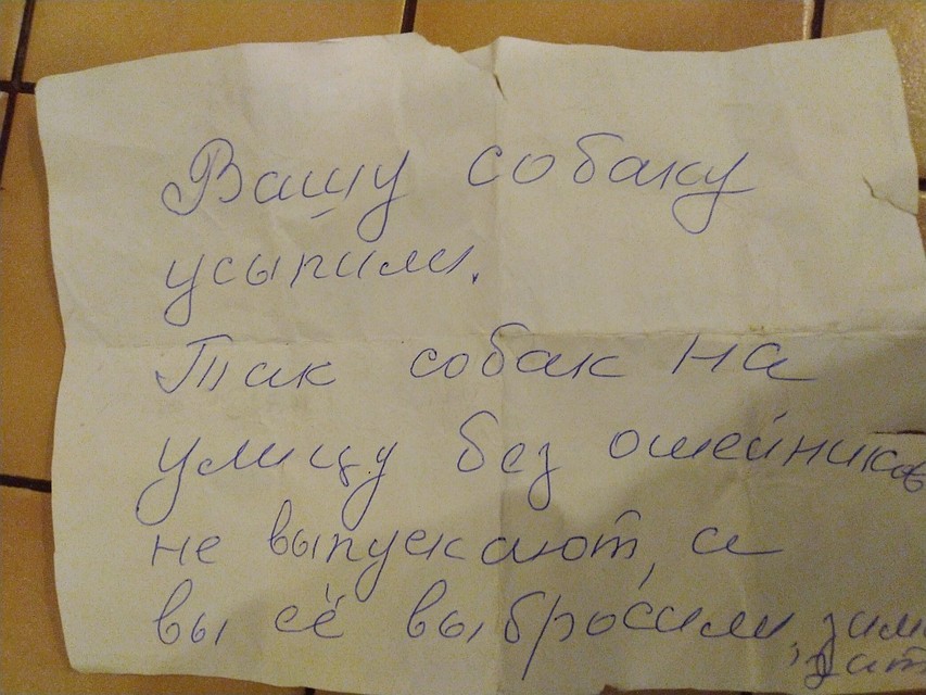 От такой записки у владельцев пса не самые приятные ощущения Фото: соцсети