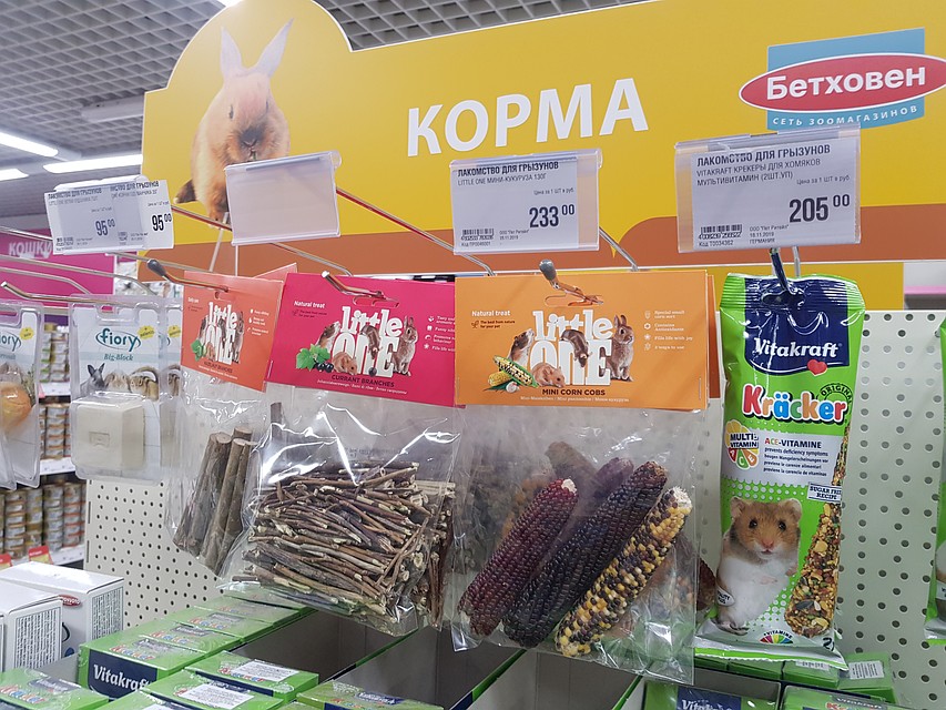 Хотя сама крыса недорогая, все что ей нужно обойдется в круглую сумму - около 5 тысяч рублей Фото: Алиса ТИТКО