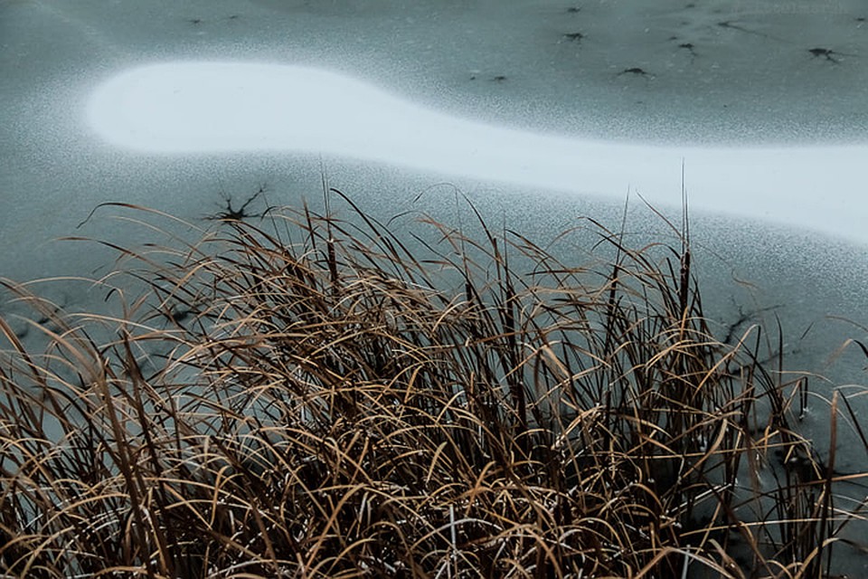 Ледяной праздник от первого городского пруда. Фото: Александр Коваленко