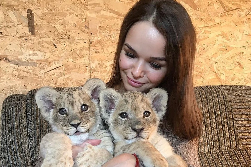 В зоопарке расписаны часы посещения львят. Фото: zoopark_vl