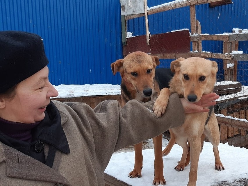 За питомцам ухаживают несколько человек. Фото Антона Киселева