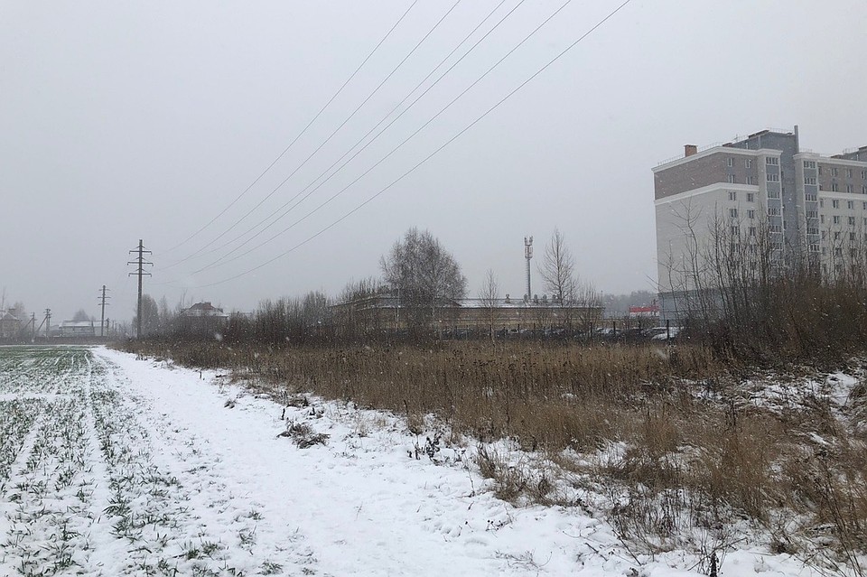 Фото: Служба по контролю за безнадзорными животными.