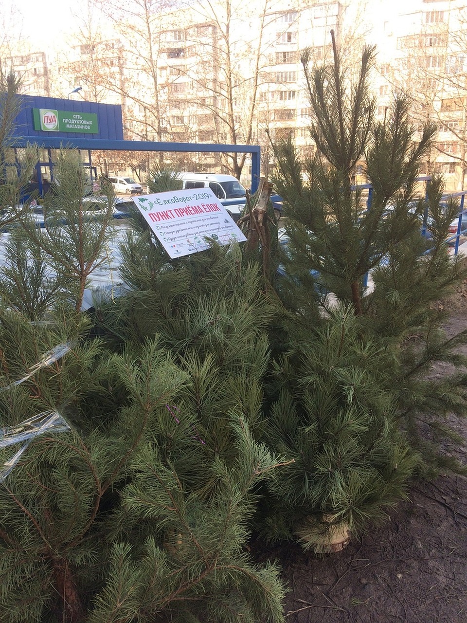 Так будут выглядеть пункты приема елок. Фото: ЕлкоВорот | ЭКО-акция в Крыму