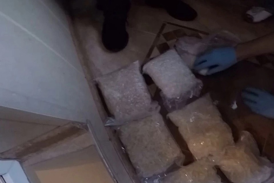 Всего у банды было изъято 24 килограмма наркотиков. Фото: Пресс-служба МВД России