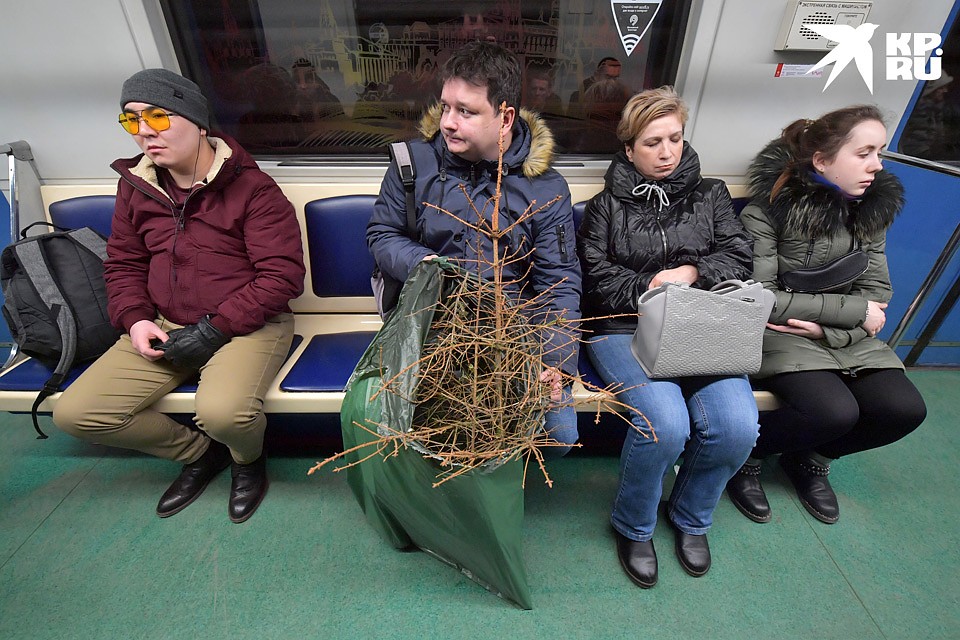 Верхушка елки предательски торчала из пакета. Фото: Владимир ВЕЛЕНГУРИН