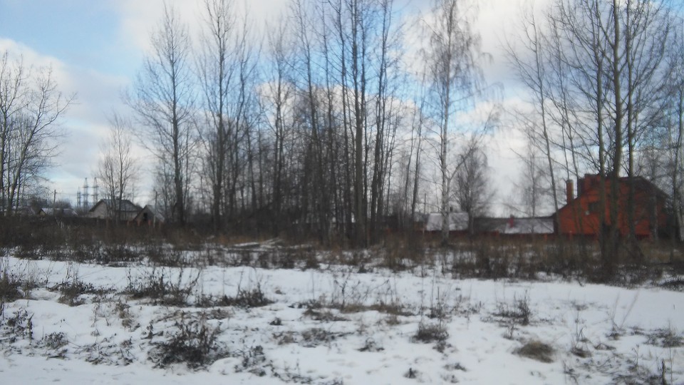 . Фото: Павел Новиков