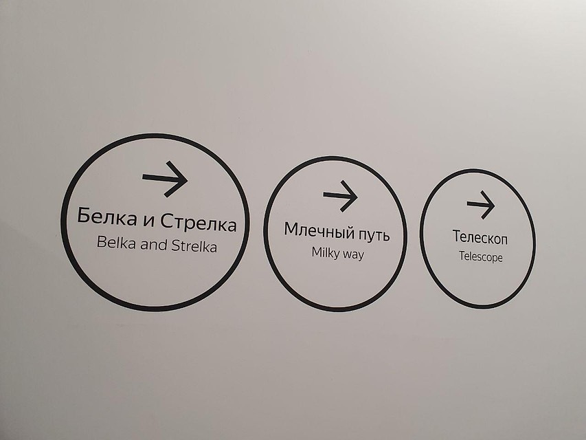 . Фото: Дарья Вострикова
