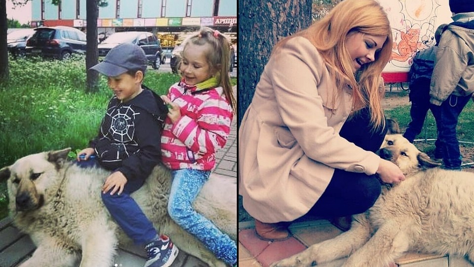 Горожане и Кефир души не чают друг в друге. Фото: instagram.com/kefirsbor