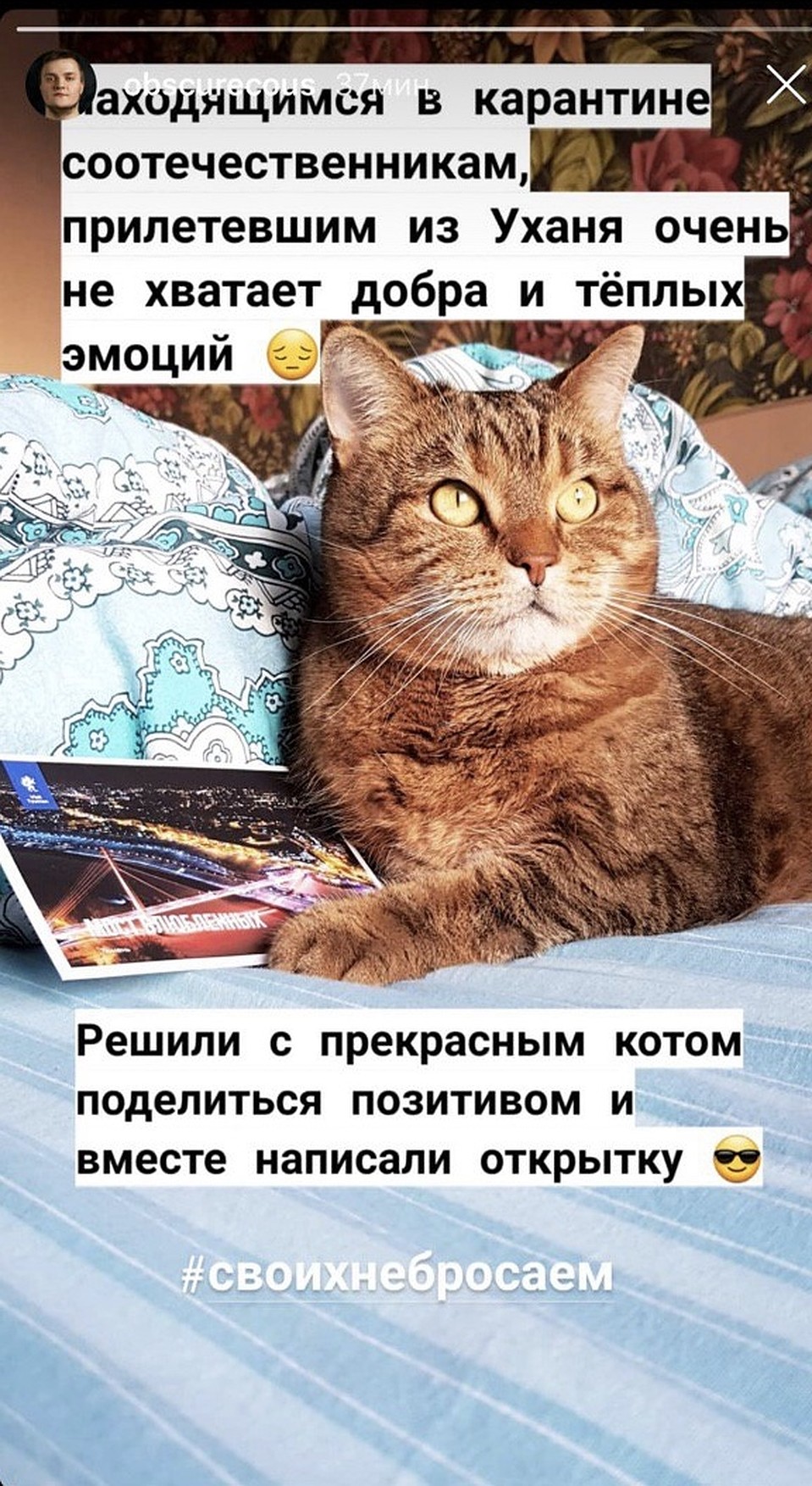 Фото из "Инстаграм"