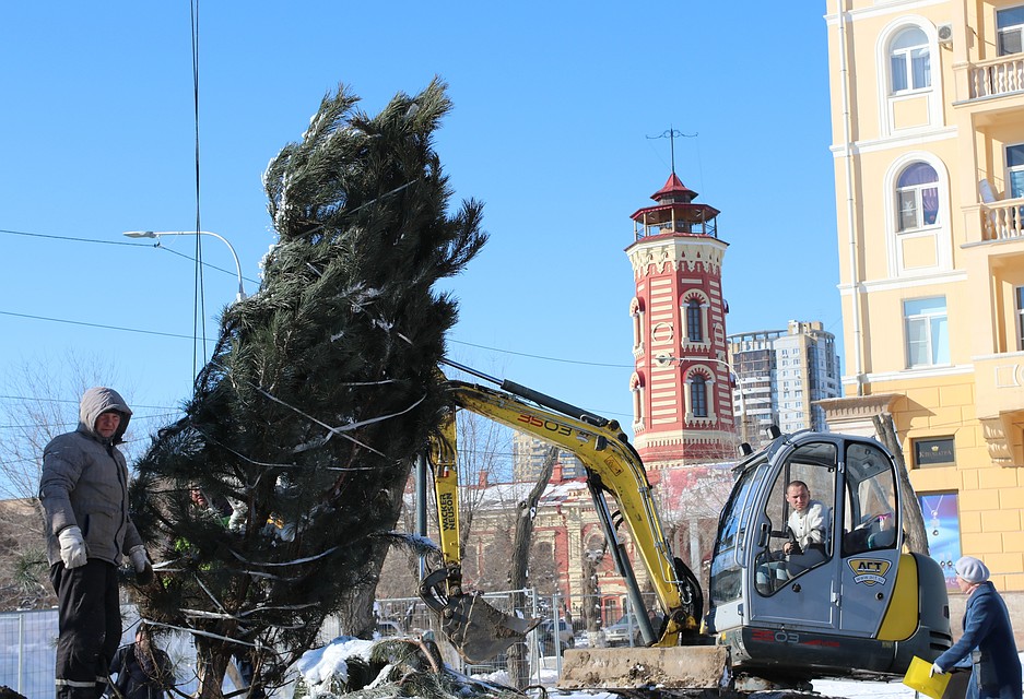 Сегодня в Александровском сквере посадили трехметровые сосны. Фото администрации Волгограда.