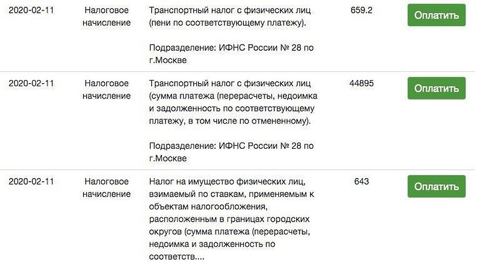 Налоговая разыскивает Алену Водонаеву за долги