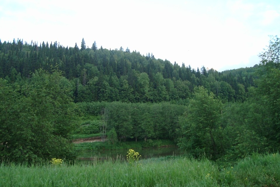 Такой была река Сылва в 2010 году. Фото предоставлено пресс-службой СУ СКР по Пермскому краю.