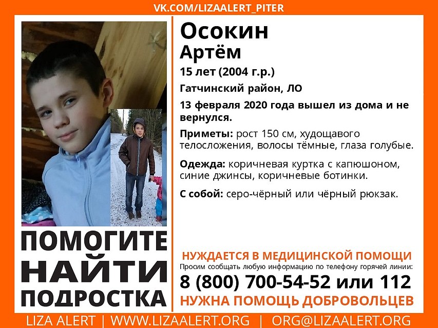 Мальчика уже ищут волонтеры-поисковики. Фото: lizaalert.org