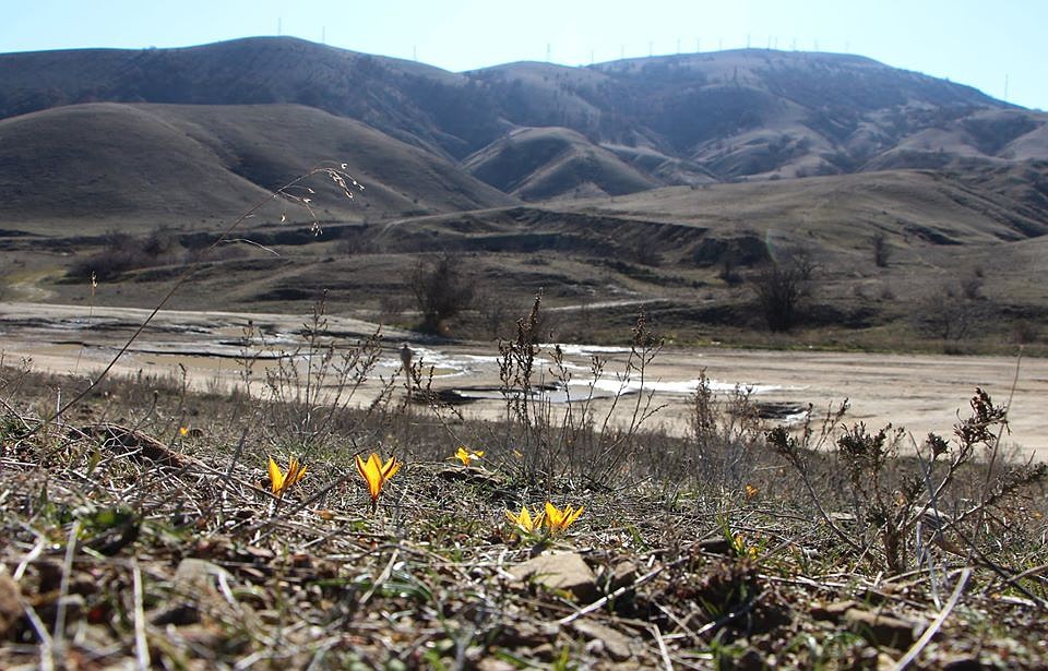 В Крыму уже почти весна. Фото: Александр КИРЬЯКОВ