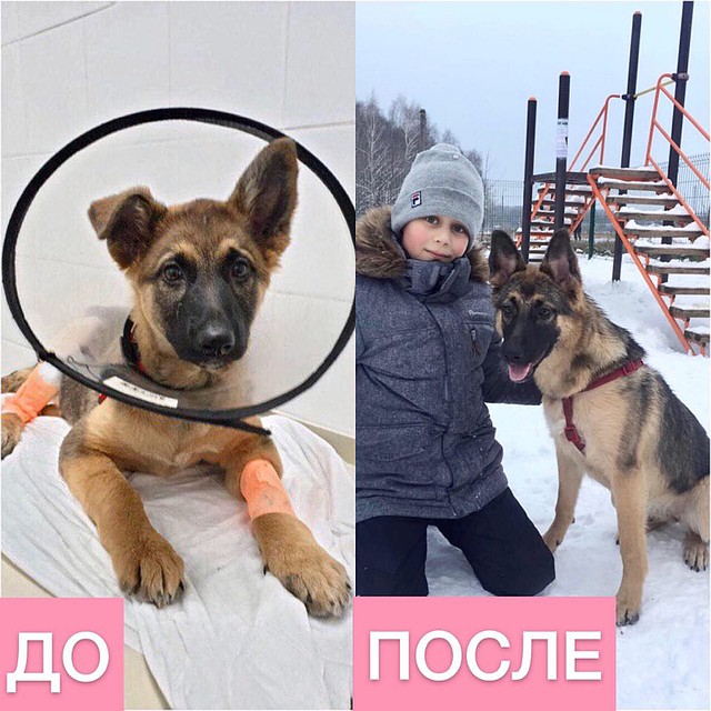 Василиса быстро пошла на поправку