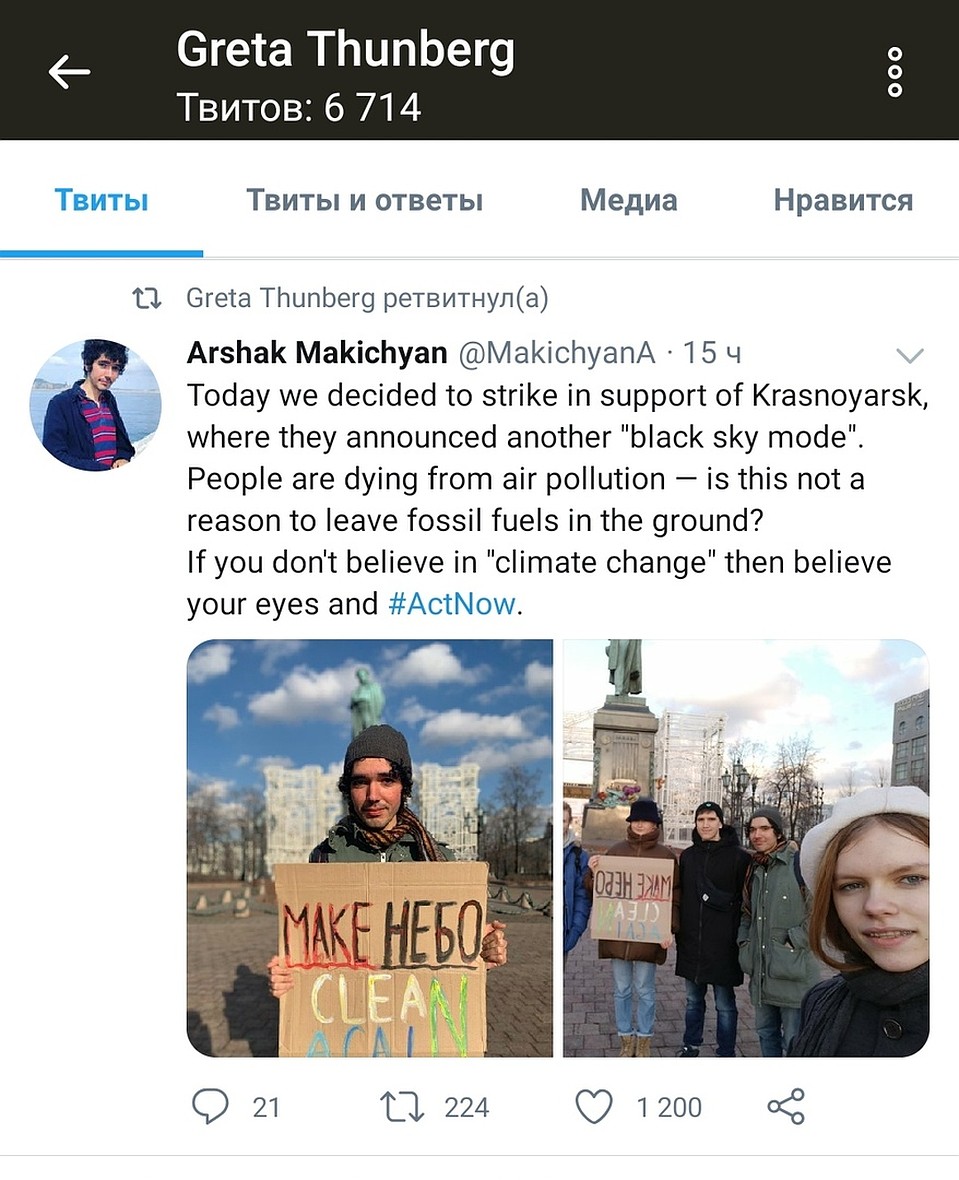 Грета Тунберг тоже обратила внимание на проблему красноярцев Фото: соцсети