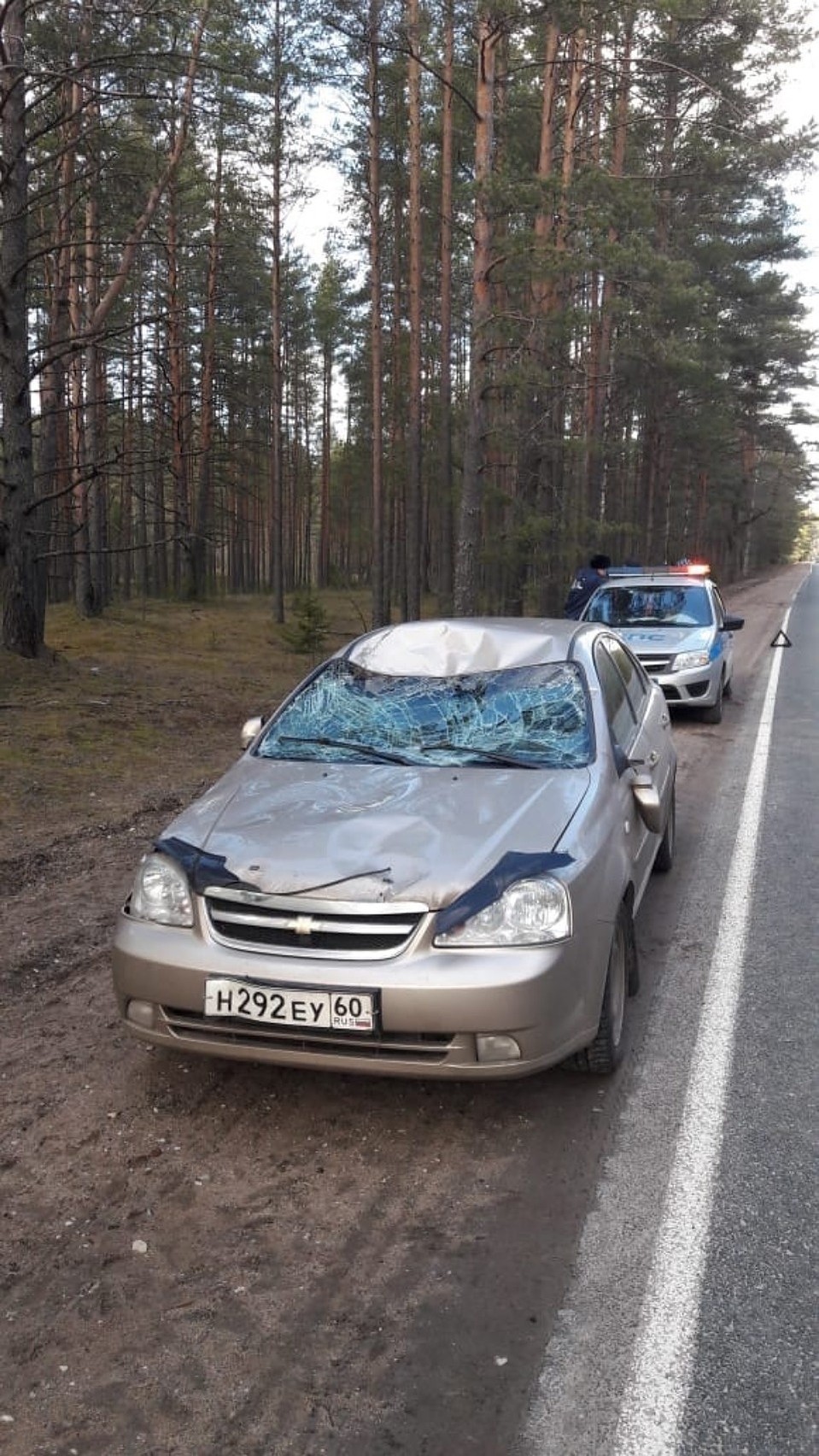 Фото: Николай Бесклёвный.