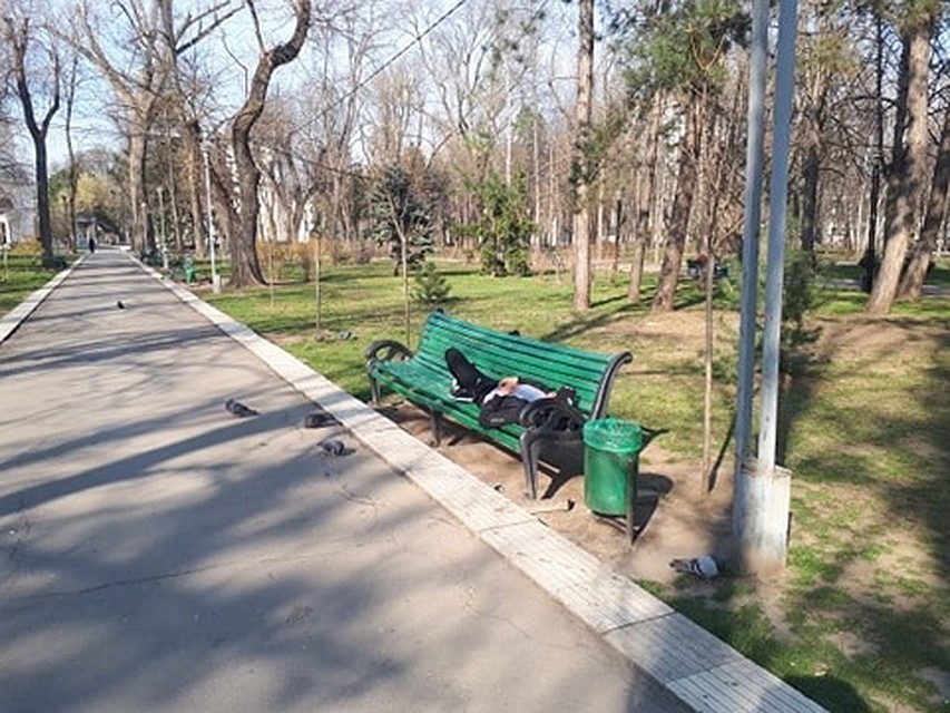 Можно и спокойно поспать под ласковым солнышком! Фото: Леонид РЯБКОВ