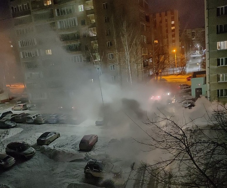 Фото: Алексей Мошков