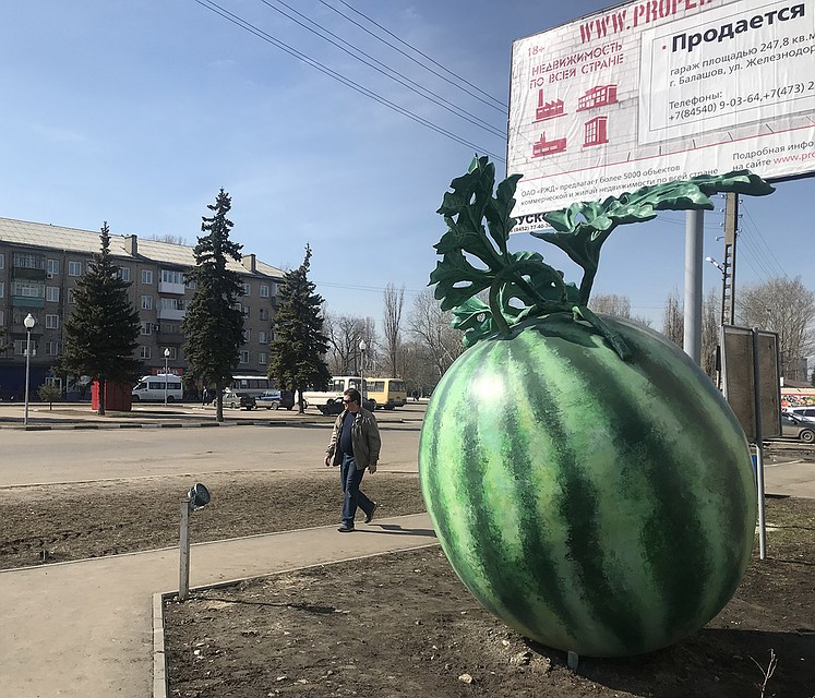 Достопримечательность Балашова - гигантский арбуз. Фото: Владимир ВОРСОБИН