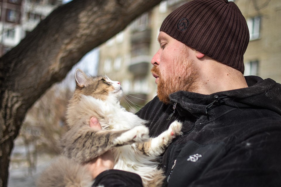 - Не скажу, что котов я как-то особенно обожаю, - говорит котомен. Фото: Алена МАРТЫНОВА