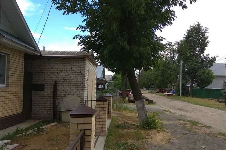Именно из-за этого дерева Сергей Кузнецов едва не угодил в тюрьму. Фото: СОЦСЕТИ