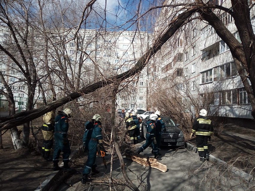Фото: ГУ МЧС России по Омской области