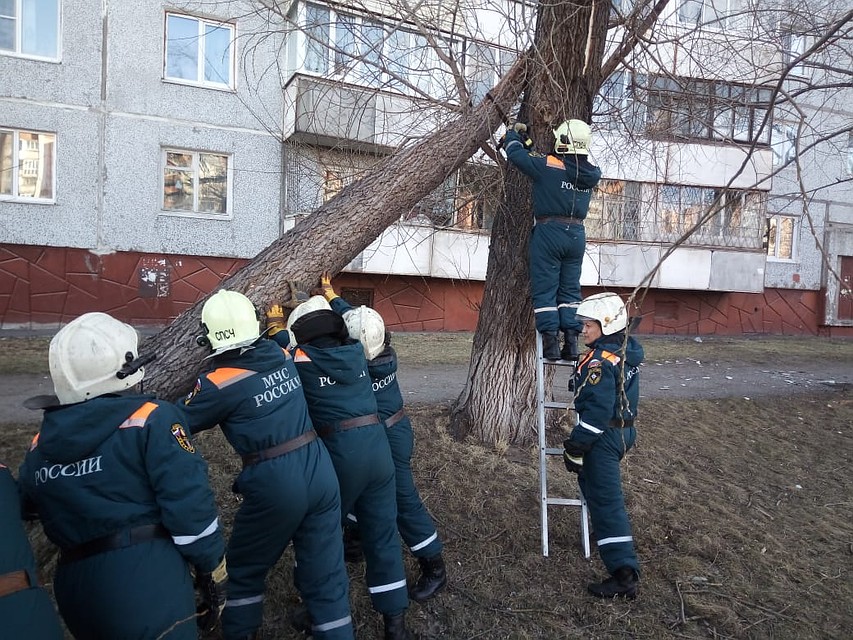 Фото: ГУ МЧС России по Омской области