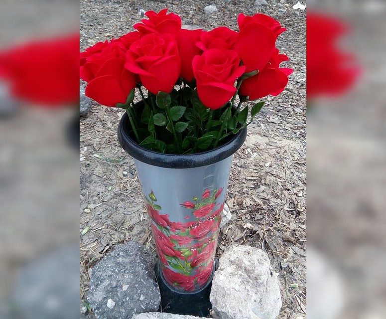 Такие цветы помогли оперативникам найти истину Фото: ГУ МВД России по Самарской области