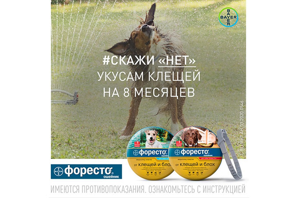 Фото предоставлено концерном Bayer.