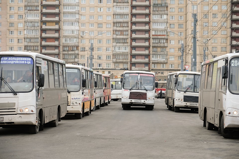 В Петербурге работают 265 коммерческих маршрута. Фото: Артем КИЛЬКИН