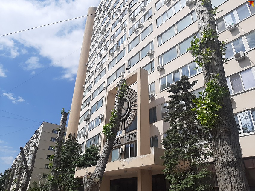 Так выглядят деревья на Советской в середине мая. Фото: Екатерина СИМОХИНА