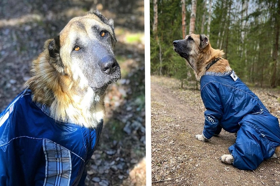 Видим, большой охоты гулять на улице нет. Но это было частью лечения!