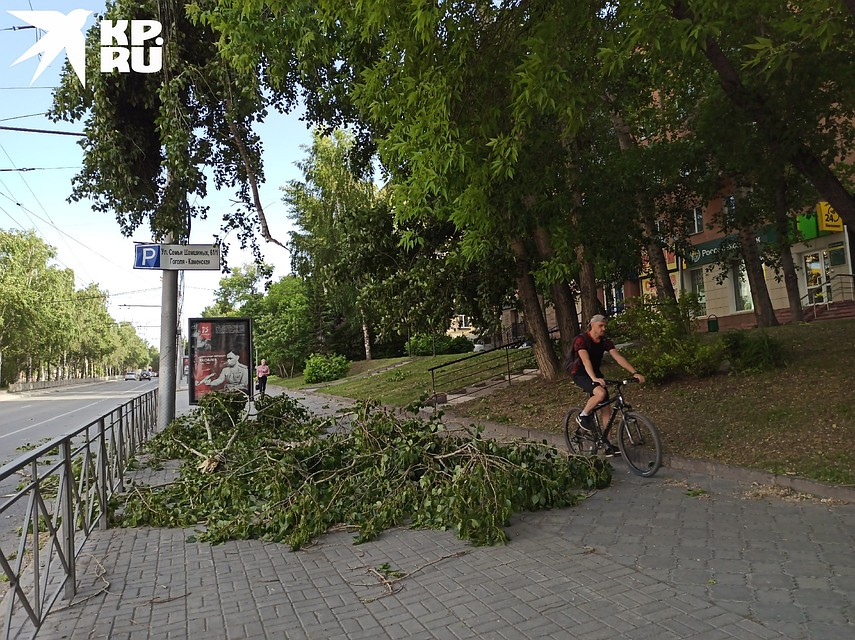 Сломанные уроганом ветки валялись по городу. Фото: Алена МАРТЫНОВА