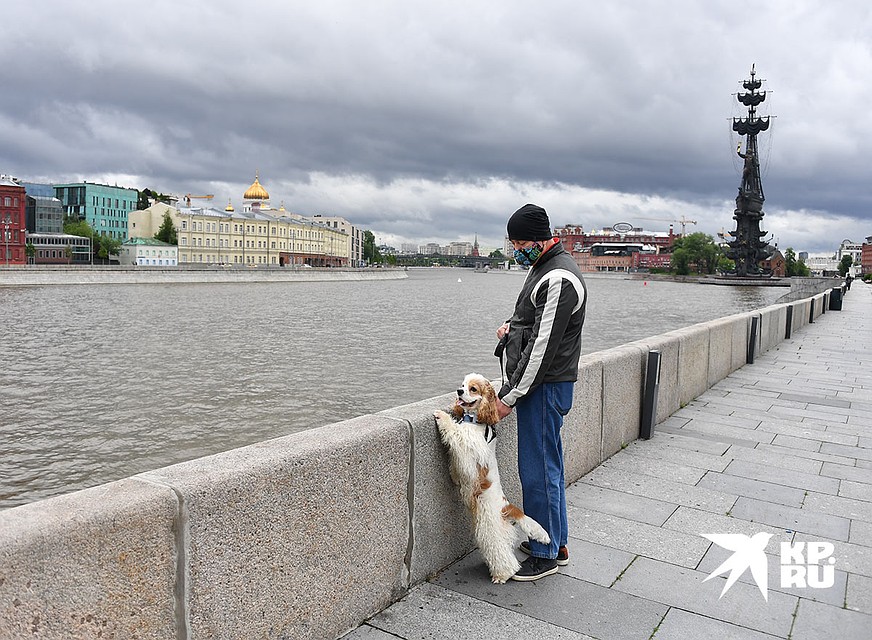 На Крымской набережной. Фото: Иван МАКЕЕВ