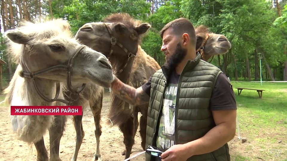 Животные находятся в комфортных условиях и им хватает еды. Фото: скриншот с телеканала СТВ
