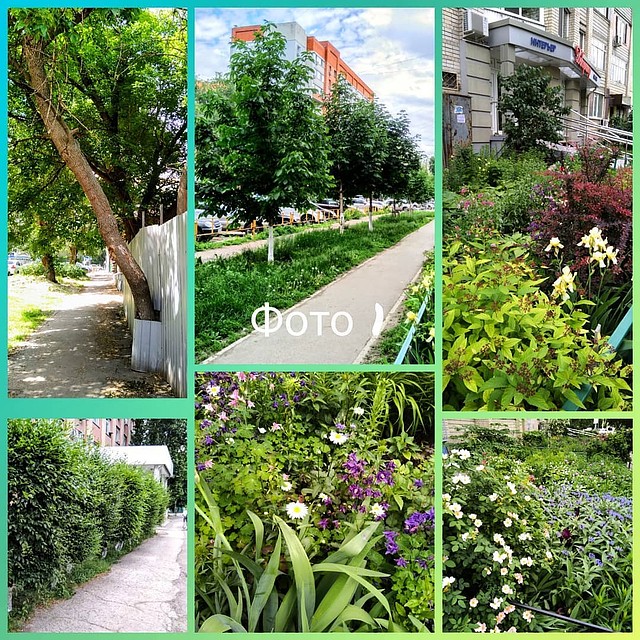Фото из Instagram Ольги Сокольской