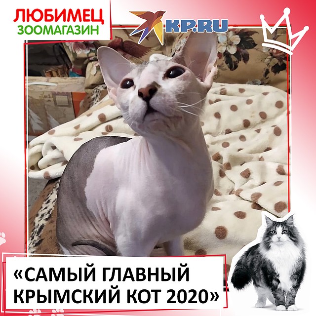 Супер-Шамсия
