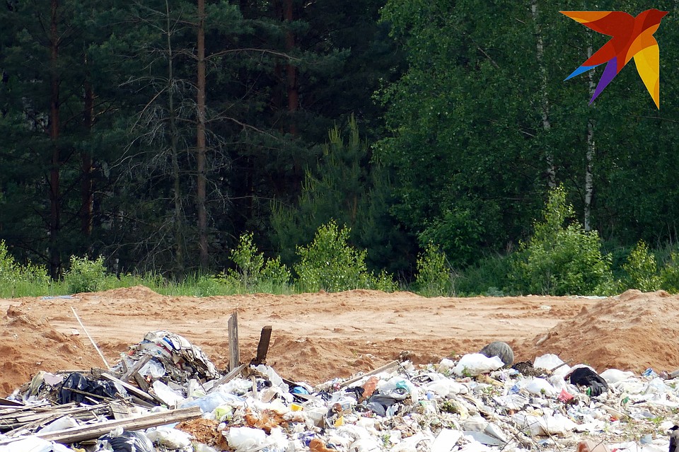 На полигоне в Кауровке мусор хранится правильно. Фото: Павел АВЕРИН