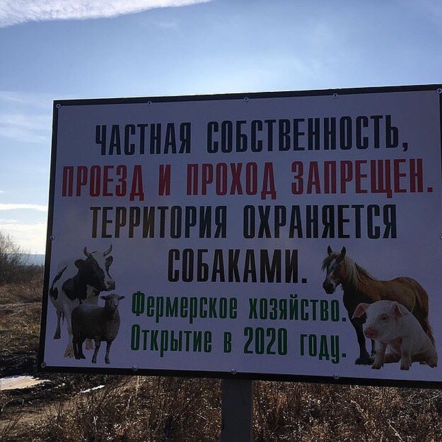 Вот такой плакат встревожил дачников
