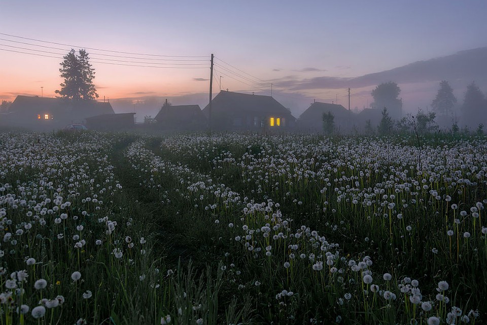 Одуванчиковые сумерки в Окунево снял Александр Архипкин. Фото: vk.com/fotokirovregion