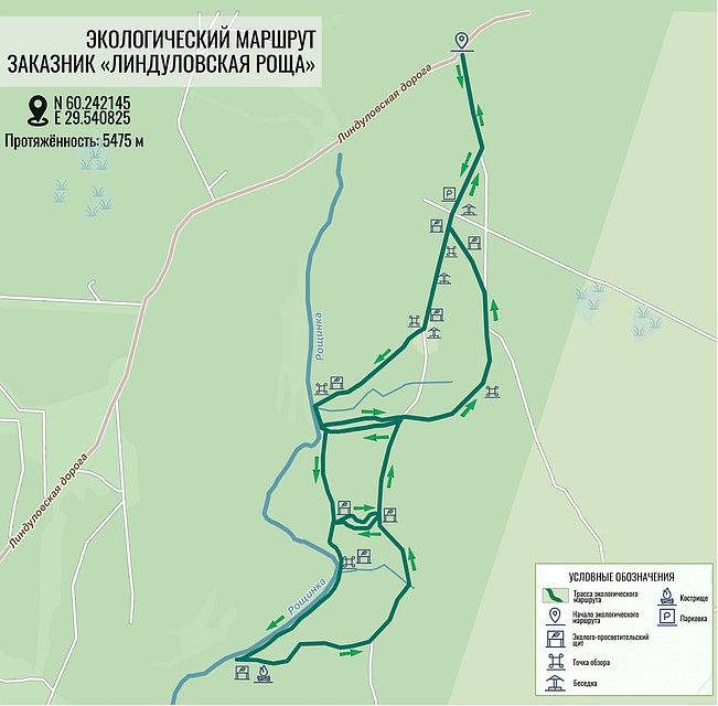 По роще проложен экомаршрут длиной 5,5 километра. Фото: Дирекция особо охраняемых природных территорий Ленинградской области