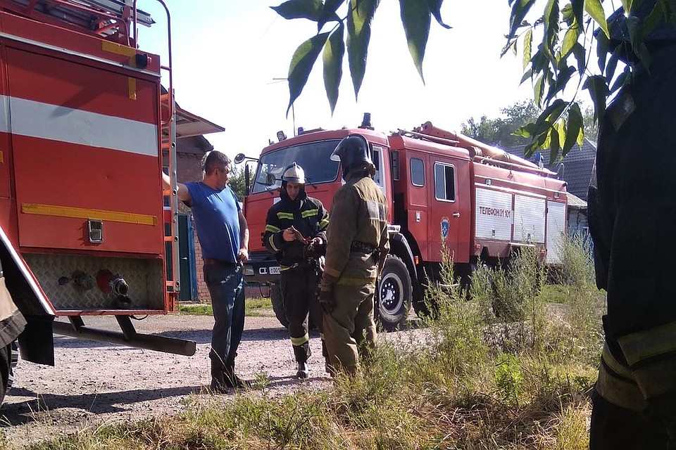 Пожарные вовремя успели приехать: животные не пострадали. Фото: Алена Святова