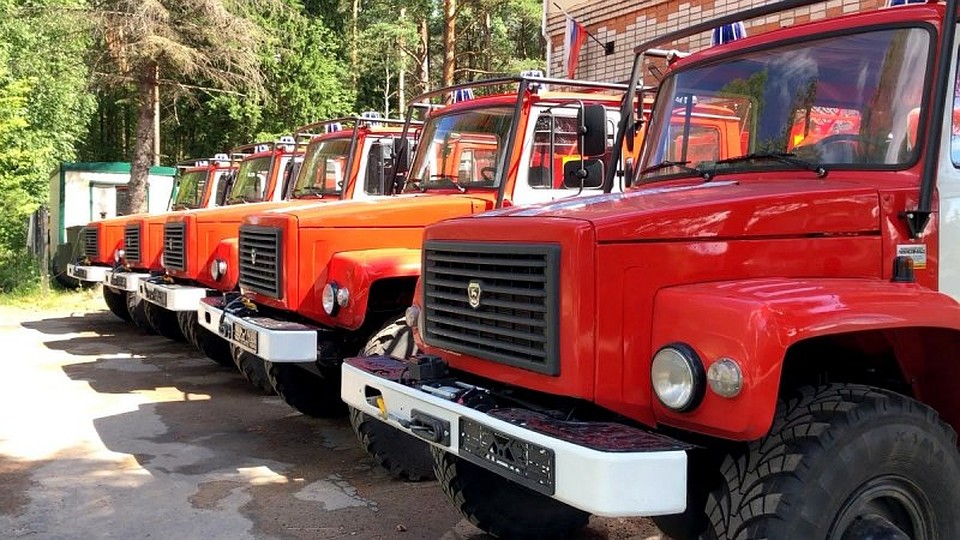 Фото: пресс-служба администрации Псковской области