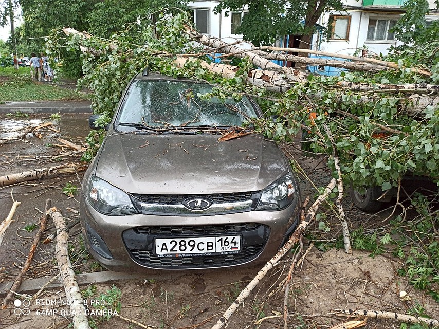 Деревья повредили несколько авто. Фото соцсетей
