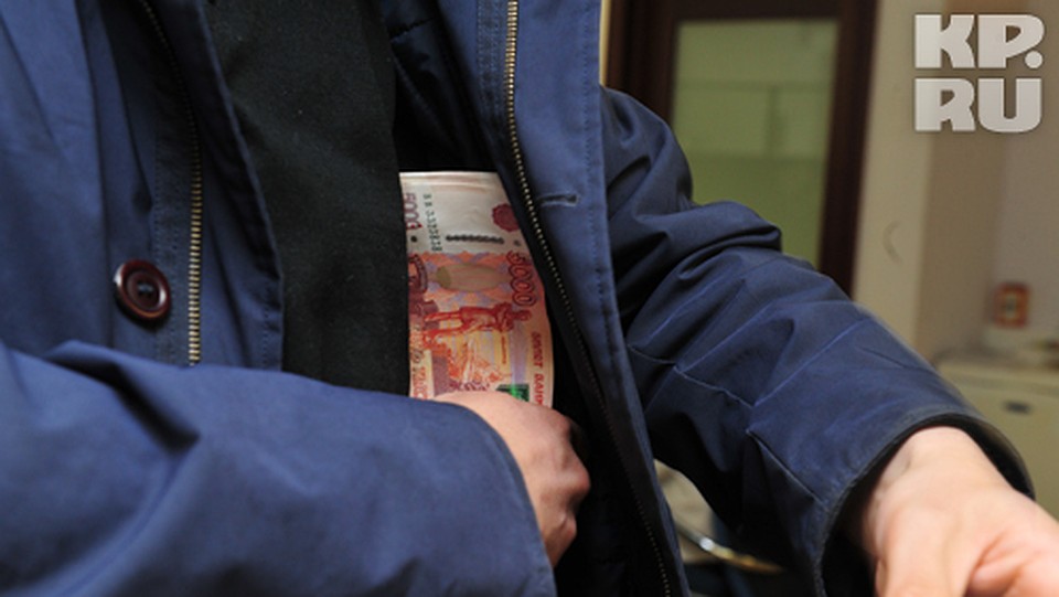 Экономисты решили залезть в карман чиновникам и понять, как они при окладе в 7 200 рублей получают, судя по декларациям, 4 миллиона рэ Фото: Сергей ШАХИДЖАНЯН