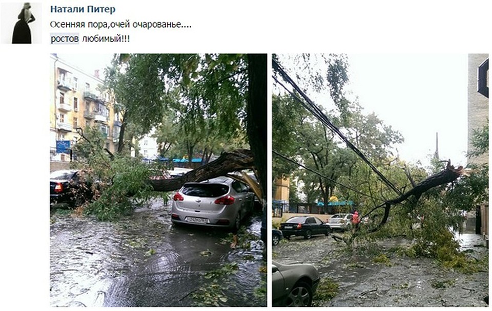 Ростов призывают держаться даже жители других городов Фото: СОЦСЕТИ